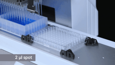 Etallwit 2 μl spot